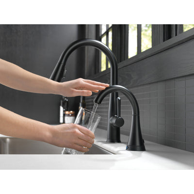 Delta Transitional Matte Black Finish Transitional Beverage Faucet with Touch2O Technology D1977TBL