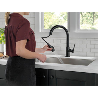 Delta Trinsic Matte Black Finish Single Handle Pull-Down Kitchen Limited Swivel D9159BLLSDST