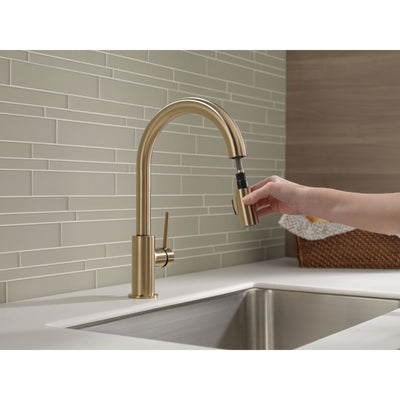 Delta Trinsic Champagne Bronze Finish Single Handle Pull-Down Kitchen Limited Swivel D9159CZLSDST