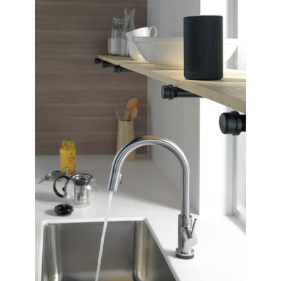 Delta Trinsic Arctic Stainless Steel Finish VoiceIQ Single-Handle Pull-Down Kitchen Faucet with Touch2O Technology D9159TVARDST