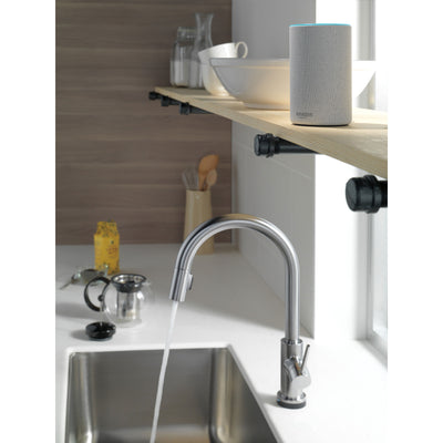 Delta Trinsic Arctic Stainless Steel Finish VoiceIQ Single-Handle Pull-Down Kitchen Faucet with Touch2O Technology D9159TVARDST