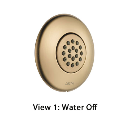 Delta Champagne Bronze Finish HydraChoice Touch Clean Round Shower System Body Spray COMPLETE Includes Valve, Trim, and Spray D1382V