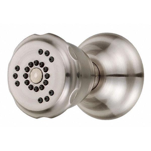 Danze Brushed Nickel Traditional 2 Function Swivel Wall Mount Shower Body Spray