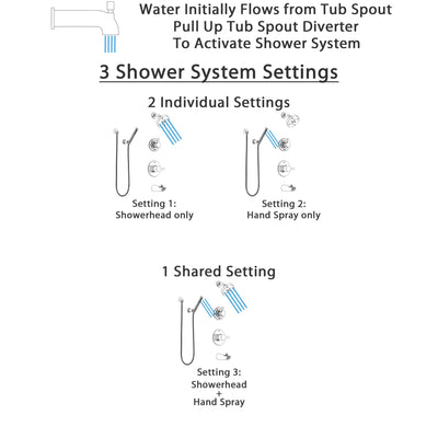 Delta Compel Chrome Finish Tub and Shower System with Control Handle, 3-Setting Diverter, Showerhead, and Hand Shower with Wall Bracket SS144616