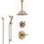 Delta Cassidy Champagne Bronze Shower System with Control Handle, Diverter, Ceiling Mount Showerhead, and Hand Shower with Slidebar SS14972CZ2