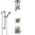 Delta Tesla Stainless Steel Finish Shower System with Dual Control Handle, Diverter, Ceiling Mount Showerhead, and Hand Shower with Grab Bar SS1752SS3