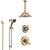 Delta Cassidy Champagne Bronze Shower System with Dual Control Handle, Diverter, Ceiling Mount Showerhead, and Hand Shower with Slidebar SS1797CZ1