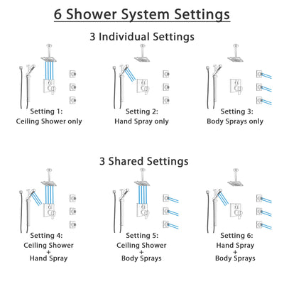 Delta Ara Dual Thermostatic Control Stainless Steel Finish Integrated Diverter Shower System, Ceiling Showerhead, 3 Body Jets, Hand Spray SS27T967SS6