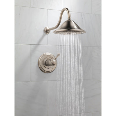 Delta Cassidy Stainless Steel Finish Thermostatic Shower Faucet with Valve D855V