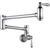 Delta Traditional Kitchen Wall Mounted Chrome Pot filler Faucet 535199