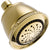 Delta 5-Setting Touch-Clean Shower Head in Polished Brass 561158
