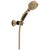 Delta Champagne Bronze Finish ActivTouch 9-Setting 2.5 GPM Wall Mount Hand Shower with Hose D55424CZ