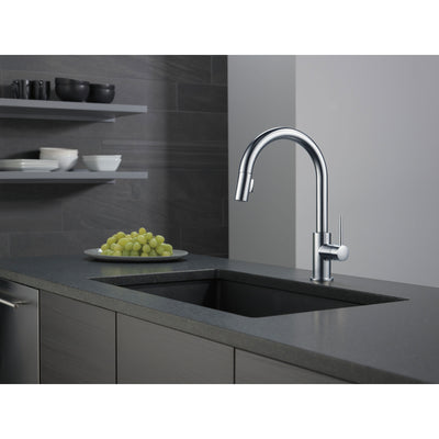 Delta Trinsic Arctic Stainless Steel Finish Single Handle Pull-Down Kitchen Limited Swivel D9159ARLSDST