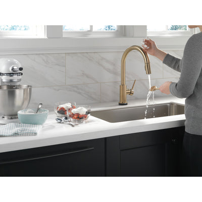 Delta Trinsic Champagne Bronze Finish VoiceIQ Single-Handle Pull-Down Kitchen Faucet with Touch2O Technology D9159TVCZDST
