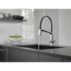Delta Pivotal Chrome Finish Single Handle Exposed Hose Kitchen Faucet D9693DST