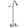 Chicago Faucets Exposed 1-Spray 1-5/8 inch Showerhead with Shower Fitting in Chrome 889804
