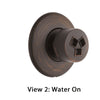 Delta Venetian Bronze Finish HydraChoice Invigorating H2Okinetic Round Shower System Body Spray COMPLETE Includes Valve, Trim, and Spray D1375V