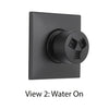 Delta Modern Matte Black Finish HydraChoice Wall Mount Body Spray Includes Valve, Square Trim, and Soothing Spray Head D3648V