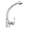Danze Anu Chrome Single Handle 1 Hole Pull-Out Spray Kitchen Faucet
