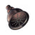 Danze Oil Rubbed Bronze Bell-Shape Spoke Pattern Shower Head 2GPM