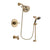 Delta Trinsic Champagne Bronze Tub and Shower System with Hand Shower DSP3509V