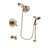 Delta Trinsic Champagne Bronze Tub and Shower System with Hand Shower DSP3517V