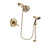 Delta Cassidy Champagne Bronze Shower Faucet System with Hand Shower DSP3524V