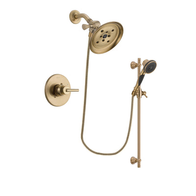 Delta Trinsic Champagne Bronze Shower Faucet System with Hand Shower DSP3588V