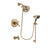Delta Cassidy Champagne Bronze Tub and Shower System with Hand Shower DSP3609V