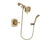Delta Addison Champagne Bronze Finish Shower Faucet System Package with Water-Efficient Shower Head and Modern Wall Mount Personal Handheld Shower Spray Includes Rough-in Valve DSP3642V
