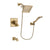 Delta Dryden Champagne Bronze Tub and Shower System with Hand Shower DSP3857V