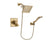 Delta Dryden Champagne Bronze Shower Faucet System with Hand Shower DSP3858V