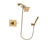 Delta Vero Champagne Bronze Shower Faucet System with Hand Shower DSP3880V