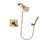 Delta Vero Champagne Bronze Shower Faucet System with Hand Shower DSP3884V