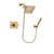 Delta Vero Champagne Bronze Shower Faucet System with Hand Shower DSP3892V