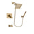 Delta Vero Champagne Bronze Tub and Shower Faucet System w/ Hand Spray DSP3895V