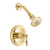 Danze Sheridan 1-Handle Pressure Balance Shower Faucet Trim Kit in Polished Brass (Valve Not Included) 634484