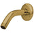 Bathroom fixtures Shower Arms Polished Brass 6" Shower Arm K150K2