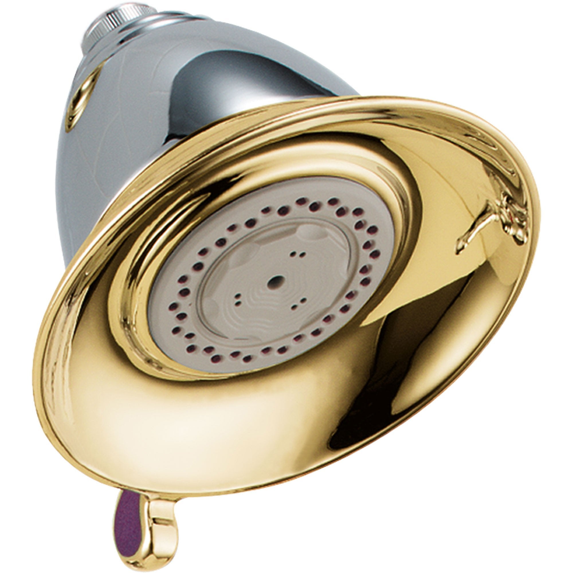 Delta Victorian 5-1/2" Chrome / Polished Brass Touch-Clean Showerhead 438477