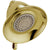 Delta Victorian 5-1/2" Polished Brass Touch-Clean Showerhead 444629