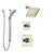 Delta Dryden Polished Nickel Finish Shower System with Control Handle, 3-Setting Diverter, Showerhead, and Hand Shower with Slidebar SS142511PN3
