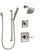 Delta Ashlyn Stainless Steel Finish Shower System with Control Handle, 3-Setting Diverter, Showerhead, and Hand Shower with Slidebar SS142641SS5