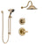 Delta Lahara Champagne Bronze Finish Shower System with Control Handle, 3-Setting Diverter, Showerhead, and Hand Shower with Slidebar SS1438CZ2
