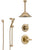 Delta Lahara Champagne Bronze Shower System with Control Handle, 3-Setting Diverter, Ceiling Mount Showerhead, and Hand Shower with Slidebar SS1438CZ4