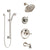 Delta Cassidy Polished Nickel Tub and Shower System with Temp2O Control, 3-Setting Diverter, Showerhead, and Hand Shower with Slidebar SS14400PN2