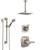 Delta Tesla Stainless Steel Finish Shower System with Control Handle, Diverter, Ceiling Mount Showerhead, and Hand Shower with Grab Bar SS1452SS1
