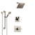 Delta Vero Stainless Steel Finish Shower System with Control Handle, 3-Setting Diverter, Showerhead, and Hand Shower with Grab Bar SS1453SS2