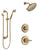Delta Victorian Champagne Bronze Finish Shower System with Control Handle, 3-Setting Diverter, Showerhead, and Hand Shower with Slidebar SS1455CZ5