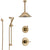 Delta Trinsic Champagne Bronze Shower System with Control Handle, Diverter, Ceiling Mount Showerhead, and Hand Shower with Slidebar SS1459CZ4