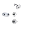 Delta Compel Chrome Shower System with Normal Shower Handle, 3-setting Diverter, Modern Round Showerhead, and Dual Body Spray Plate SS146183